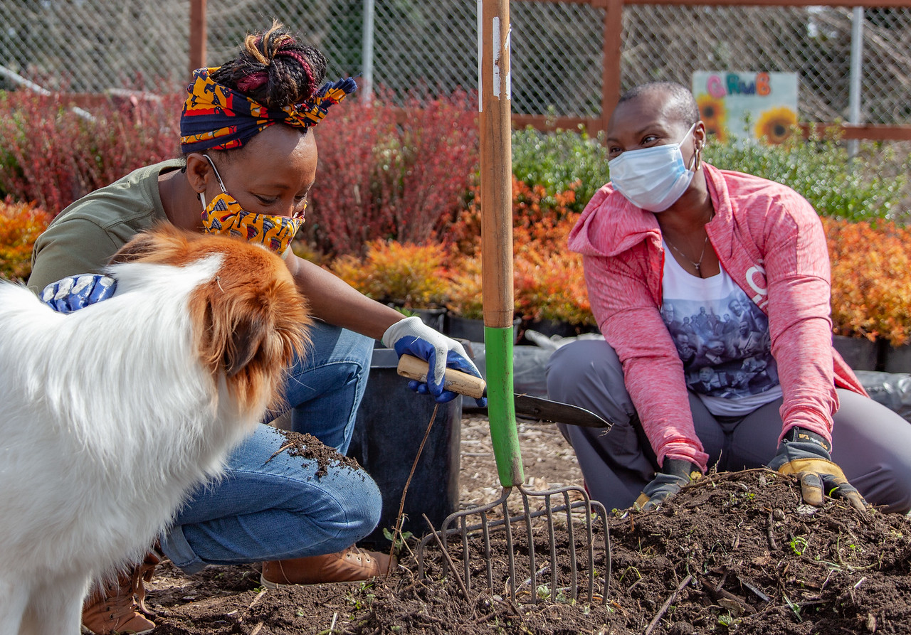 BLACK FARMER GRANTS Black Food Fund