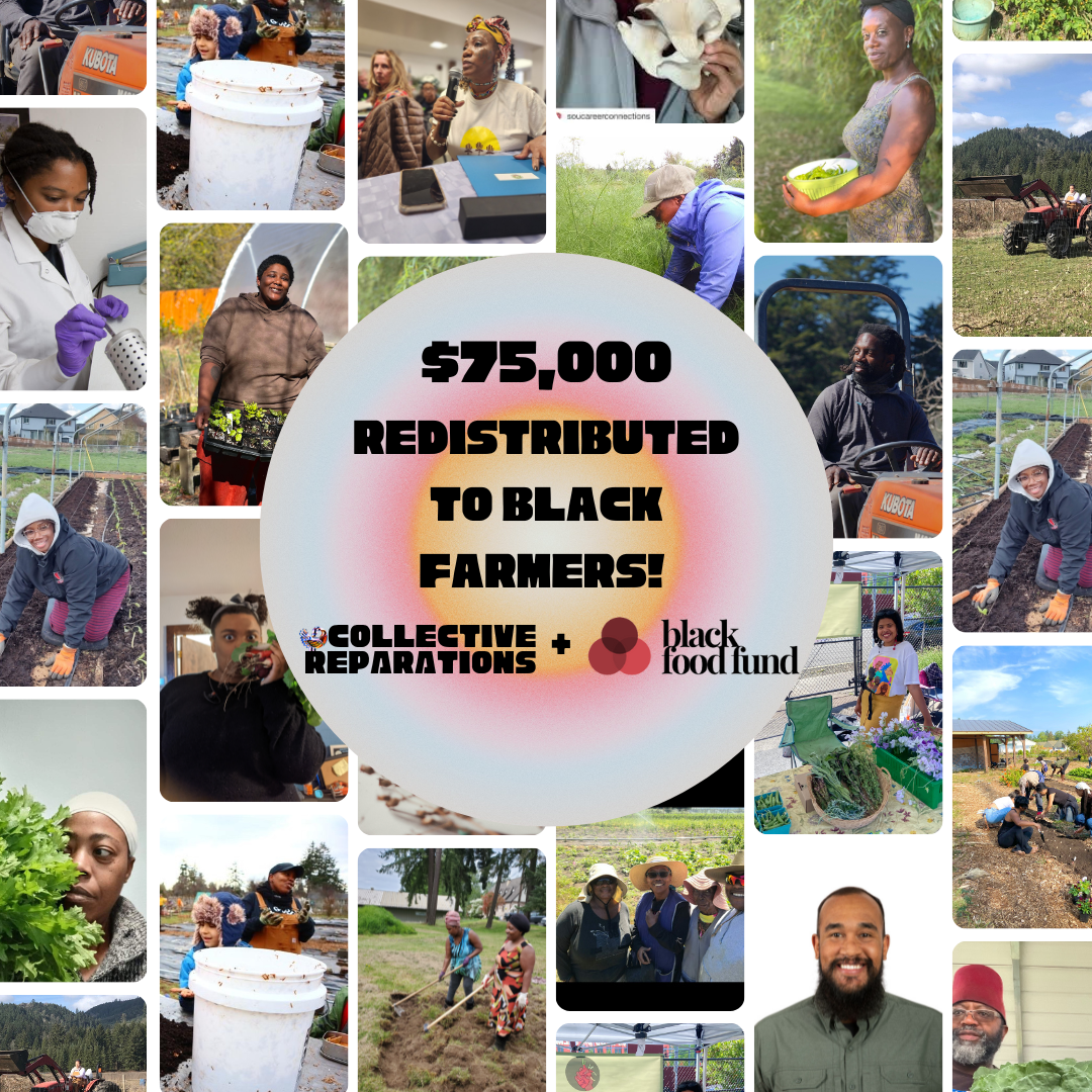 2023 grants Black Food Fund